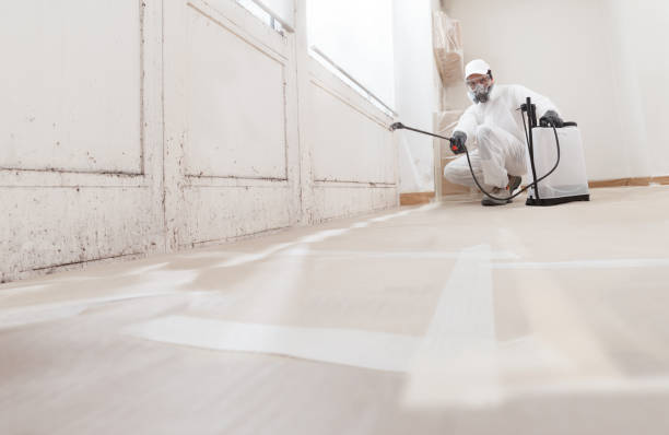 24/7 Emergency Mold Testing experts in Newtown, PA